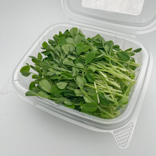 Pea Shoots (豌豆苗) - 60g