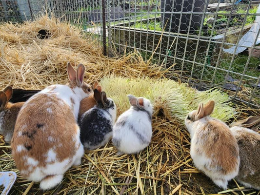 ❄️ January 2026 — Reset, Refresh, and Ready to Grow