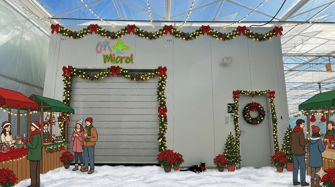 🎄 December 2025 — Gratitude, Community, and Looking Ahead ❤️🎉🌱