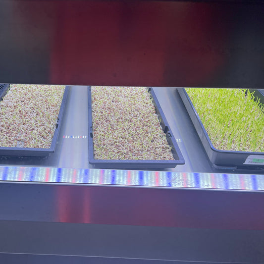 February 2025 — First Tests