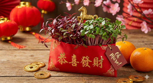 🧧 February 2026 — Chasing Perfection & New Year Energy ✨🌿