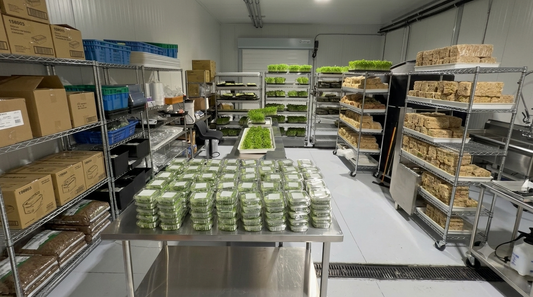 🚚 May 2026 — The Biggest Order Yet (And What It Took) 🌱✨