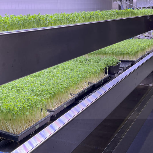 March 2025 — Stress & Laughter