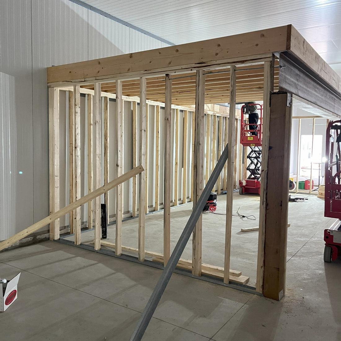 November 2024 — Construction, Creativity & Cats