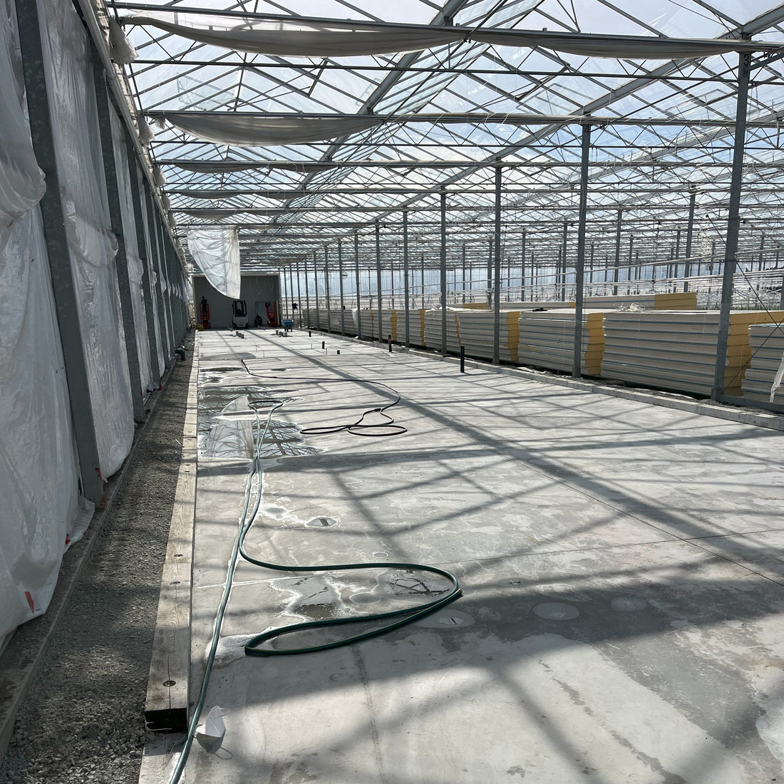 September 2024 — A New Beginning at Champion Farm