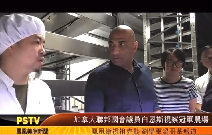 August 2025 — Experiments, Visitors & Questions