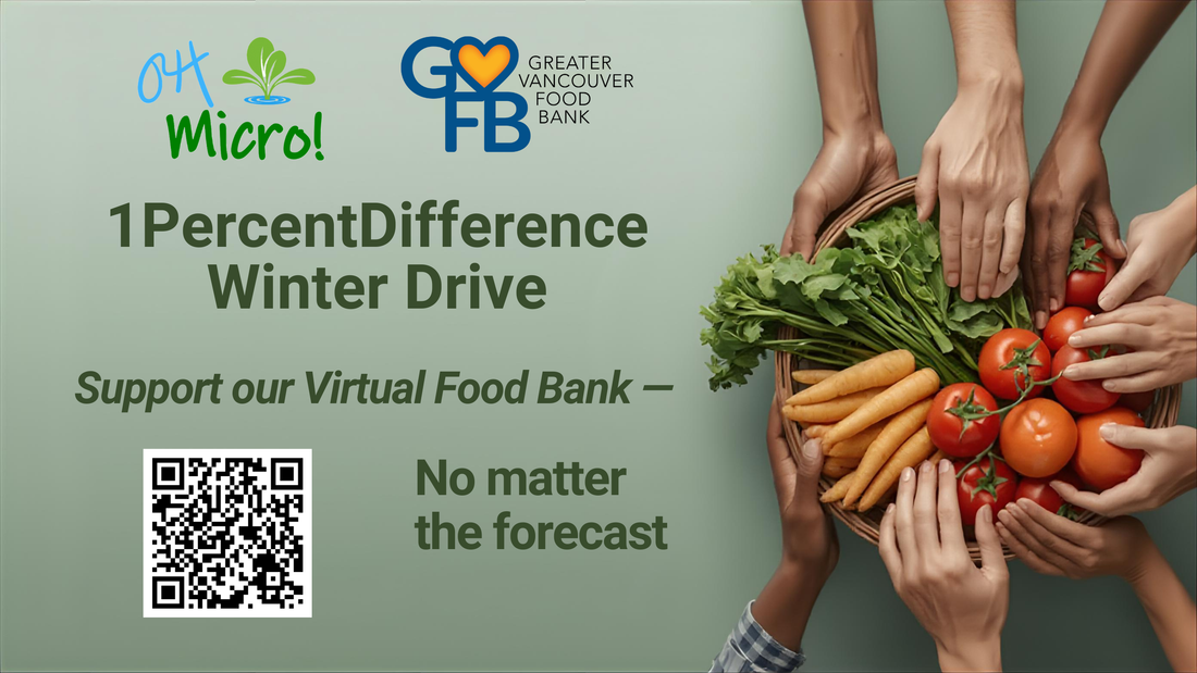 🍂 November 2025 — Growing, Giving, and Getting Ready for Something Big 🤝🌱📦