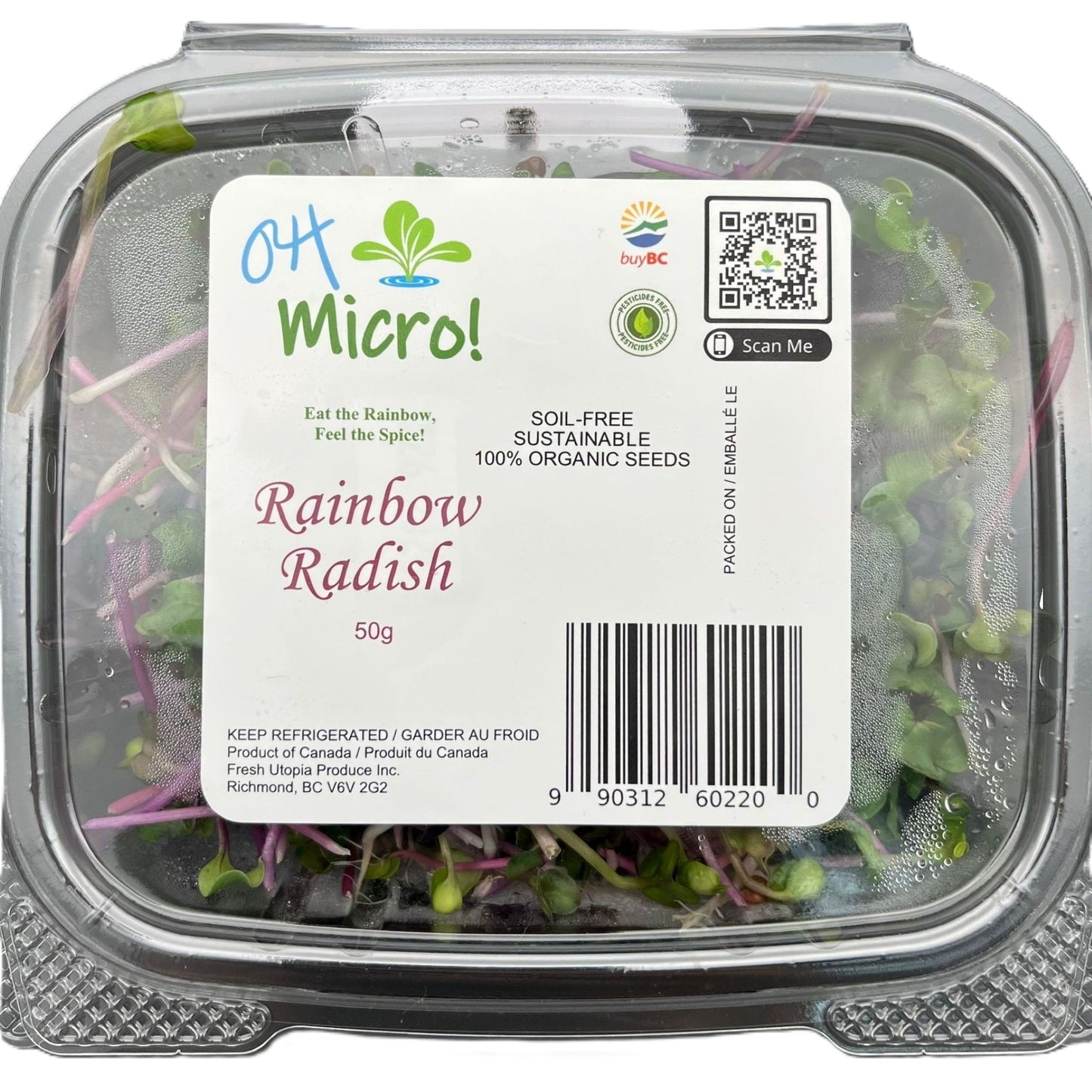 Rainbow Radish (彩虹萝卜苗) - 50g