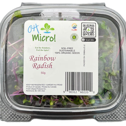 Rainbow Radish (彩虹萝卜苗) - 50g