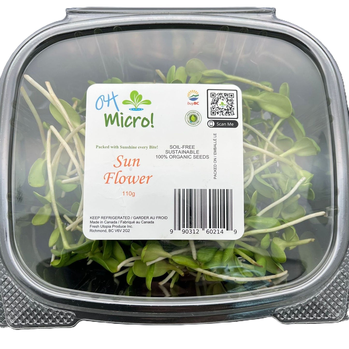 Sunflowers (葵花苗) - 110g