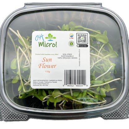 Sunflowers (葵花苗) - 110g