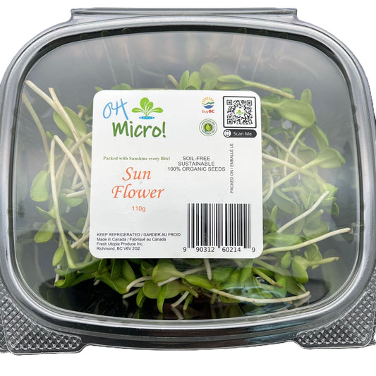 Sunflowers (葵花苗) - 110g