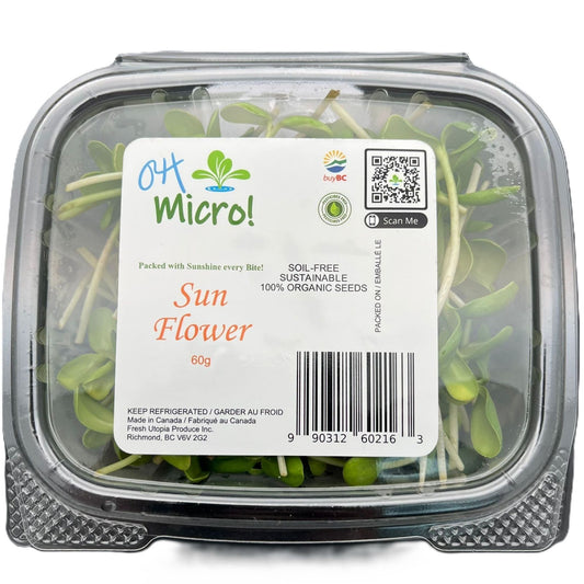 葵花苗 - 60g 