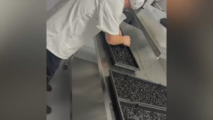 Sunflowers (葵花苗) - 110g